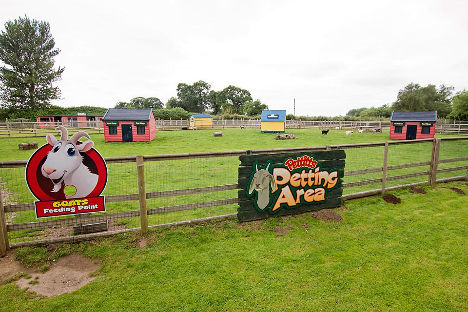 Pettitts Animal Adventure Park Visit East of England