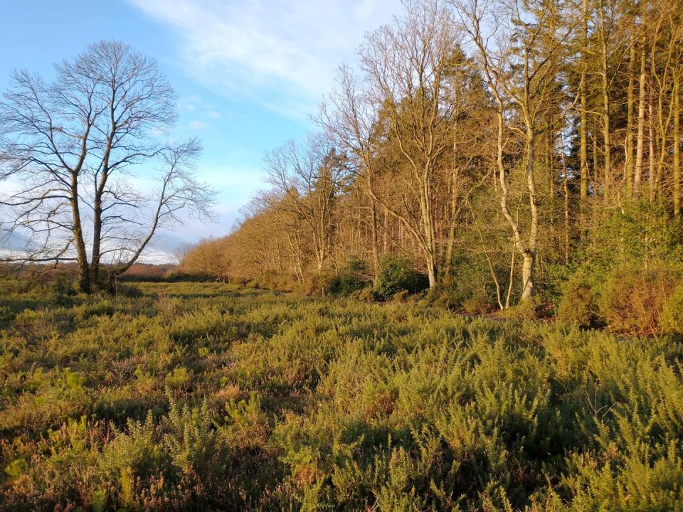 Holt Country Park Visit East England