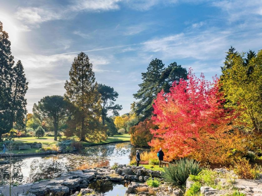 Cambridge University Botanic Garden | Visit East of England