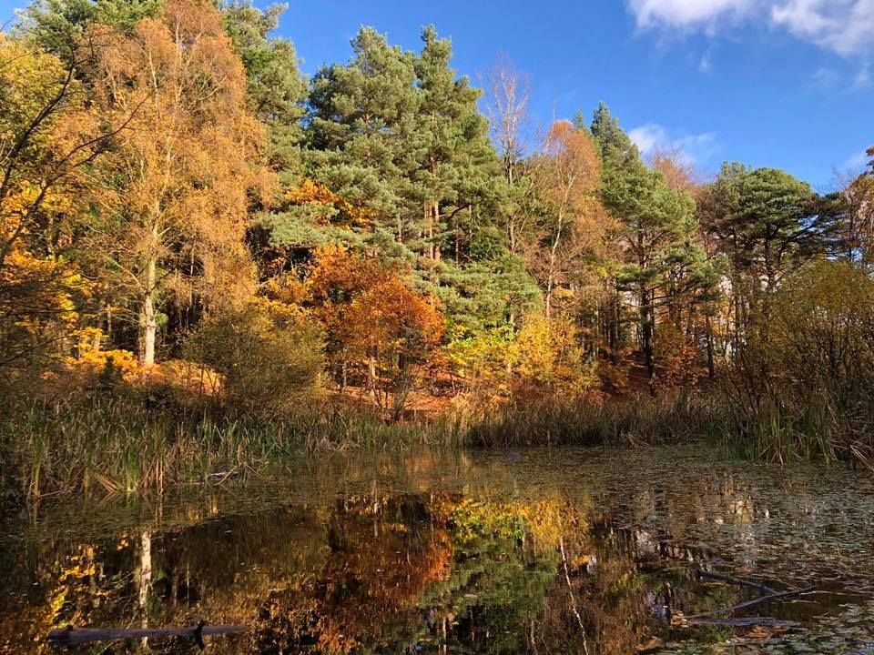 Holt Country Park | Visit East of England