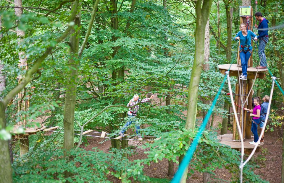 Go Ape! Visit East of England