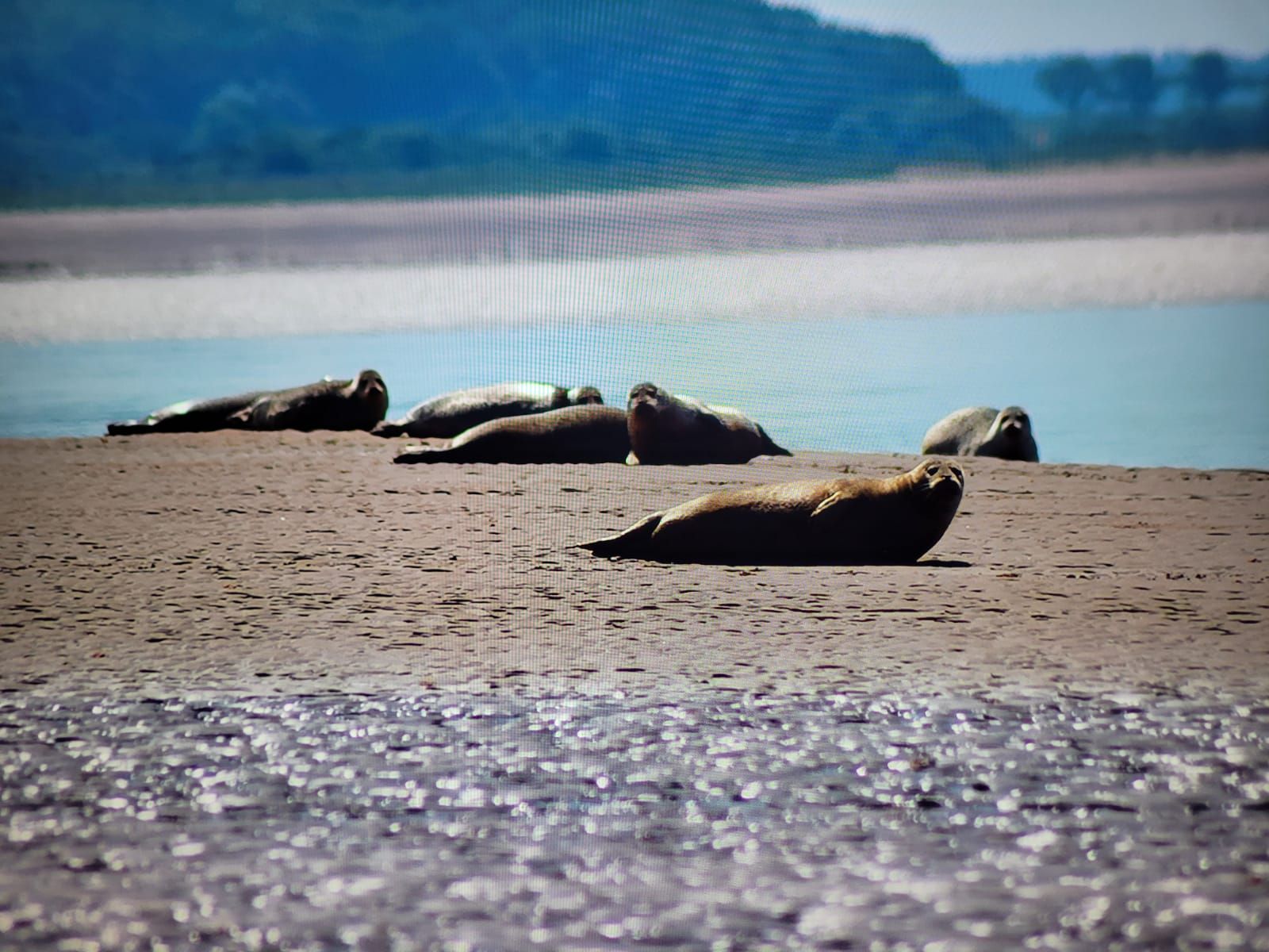 Searles Sea Tours | Visit East of England