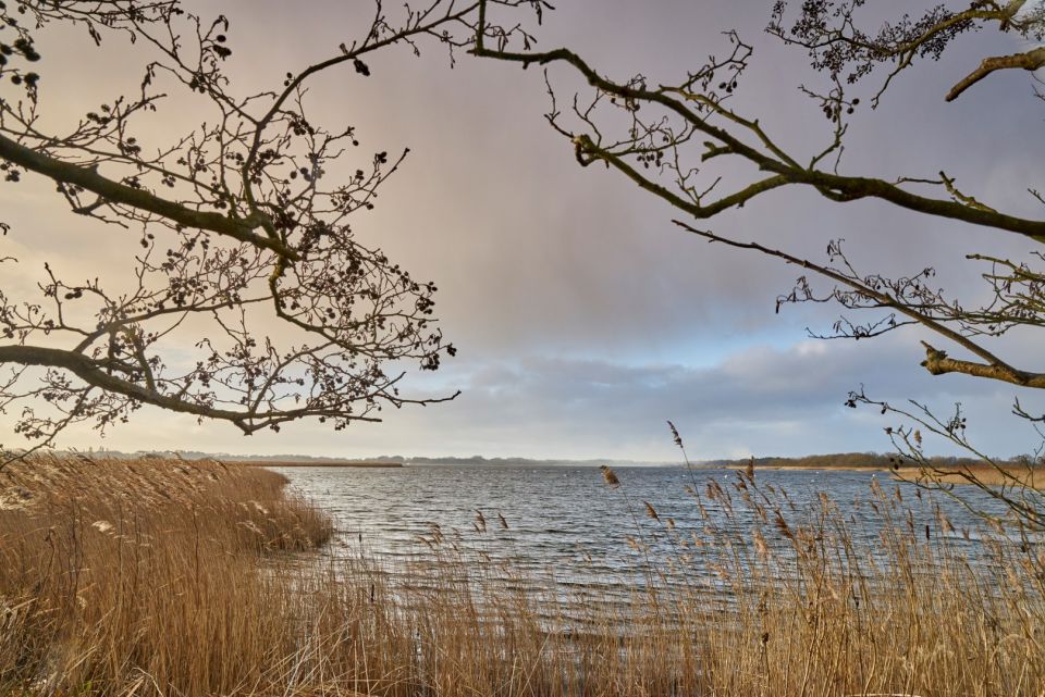 Nwt Hickling Broad And Marshes National Nature Reserve
