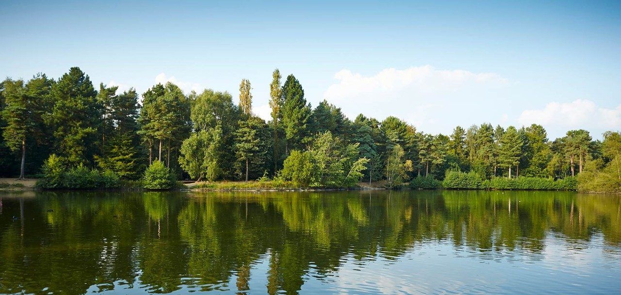 center-parcs-elveden-forest-visit-east-of-england