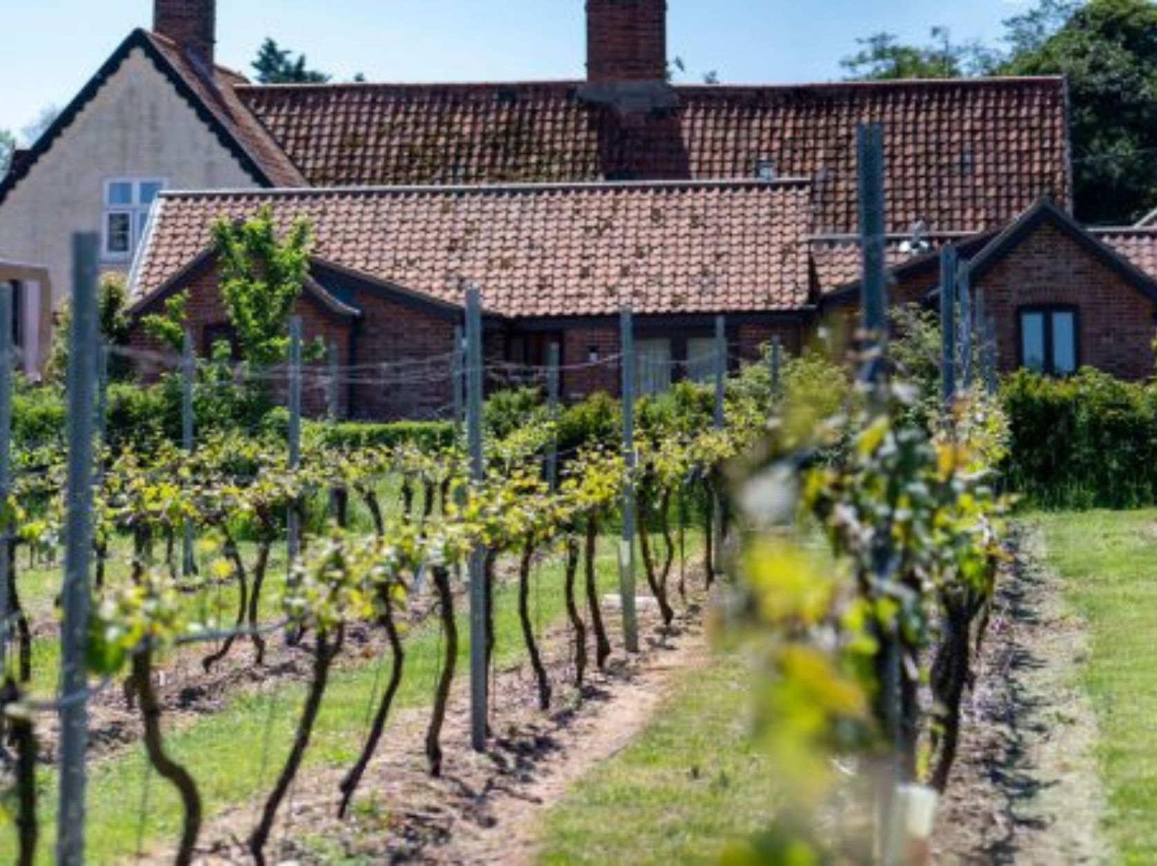 vineyard tours south east england