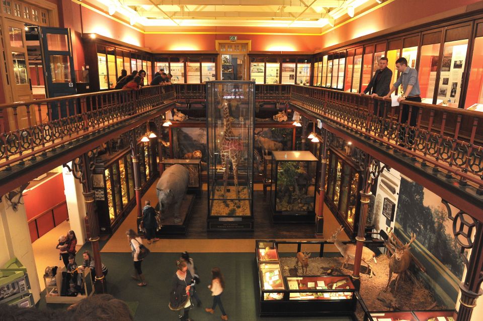 Ipswich Museum Visit East of England